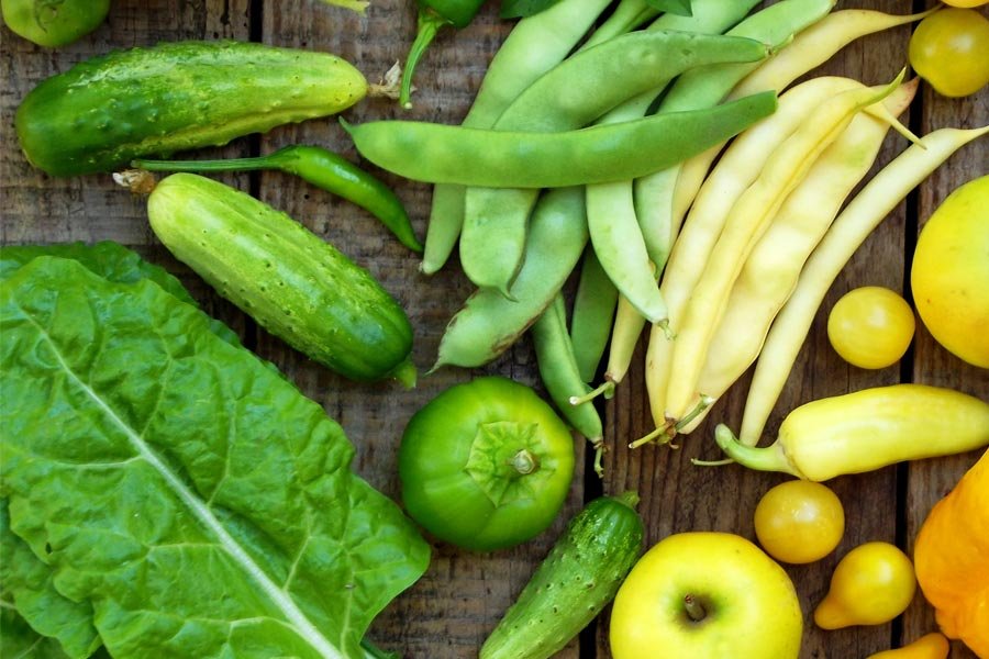 bernhoft ojai nutritional deficits